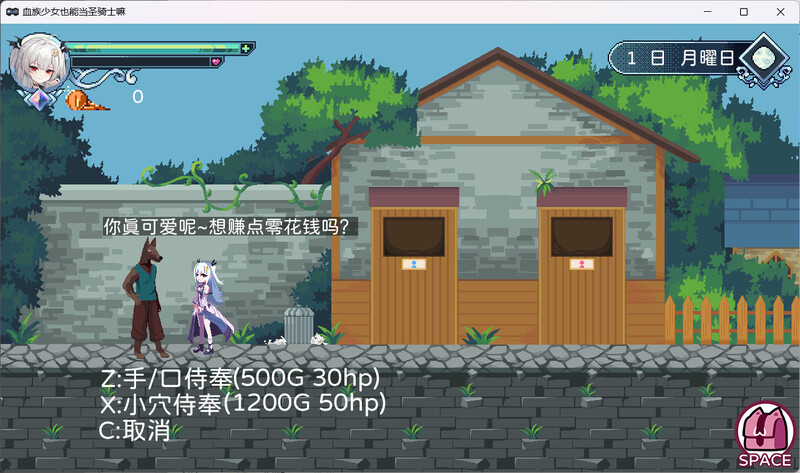[完整更新]【动作ACT/像素全动态/2C】血族少女也能当圣骑士吗 V1.0完整版 STEAM官中【300MB】