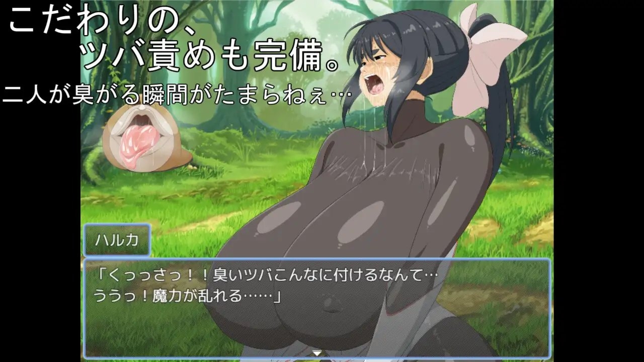新作[回合RPG/战斗H] 爆乳魔战士真琴&遥 打开情色固有空间吧！ 爆乳魔戦士マコト&ハルカ エロ固有空間を打開せよ！ AI汉化版+存档 [1.60G]