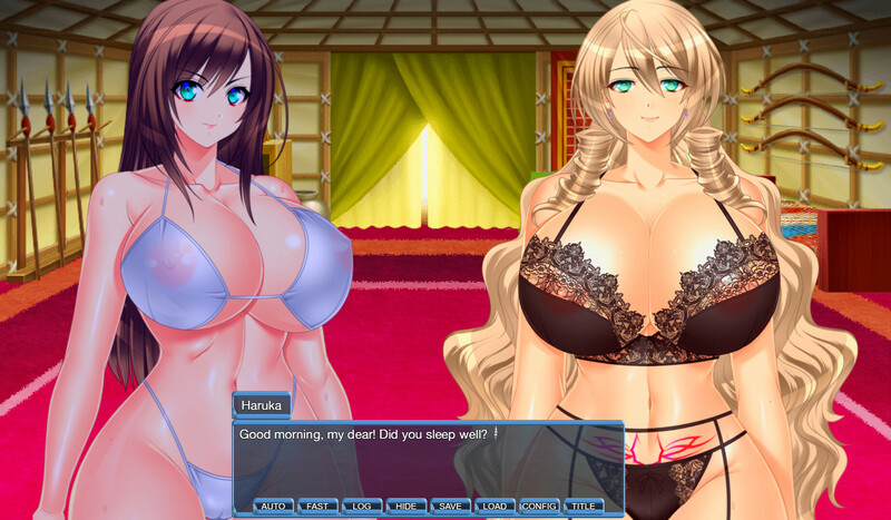 图片[1]-[日式RPG/官中] 地牢女英雄 Climax Heroines Build.12791812 STEAM官中版 正式版+DLC [500M]-爱玩ACG