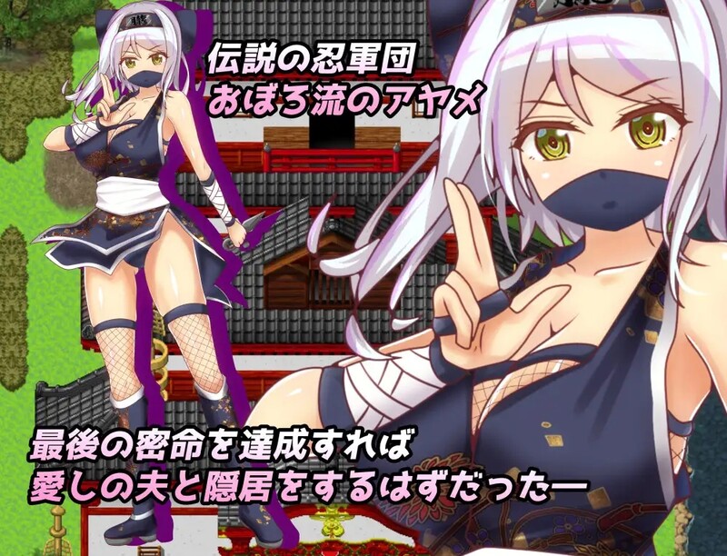 补档【回合RPG/动态/官中】戴绿帽子的国一忍者(Ninja Infiltration)正式版 STEAM官中【400MB】-爱玩ACG