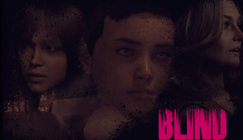 【欧美/SLG/动态】盲视 Blind v1.1AI汉化【PC+安卓/1.61G】-爱玩ACG