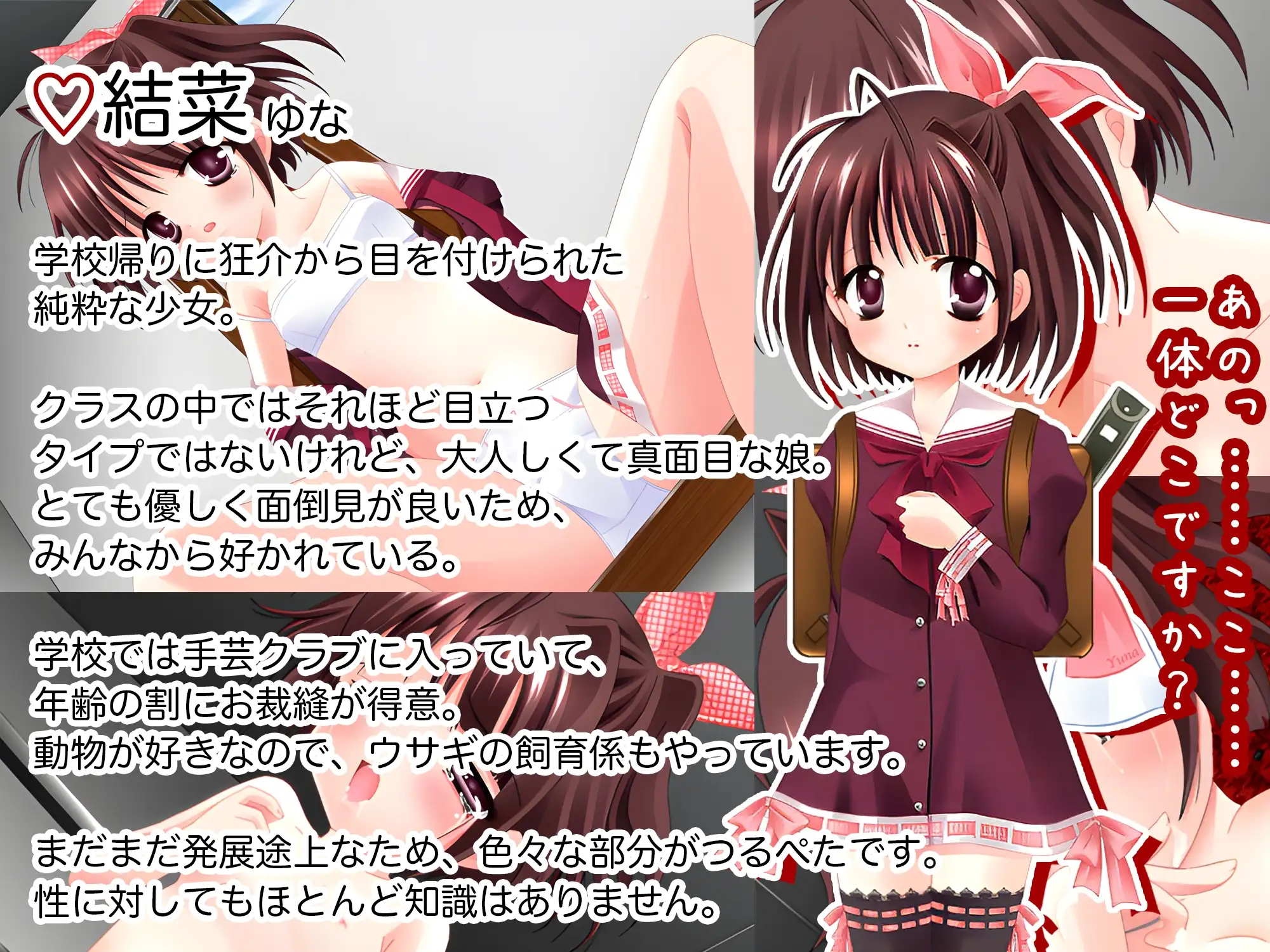 图片[1]-新作[日式RPG/萝莉/背德] 普罗拉奇主义者狂介R〜蕾悦地下室七日间〜 プロラチリスト狂介R〜蕾悦地下室七日間〜 AI汉化版 [1.70G]-爱玩ACG