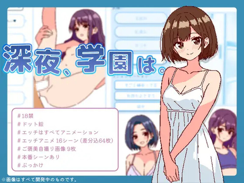 新官中[爆款SLG/像素动态] 深夜学园  深夜、学園は。 Ver1.1.0  官方中文版 [550M]-爱玩ACG