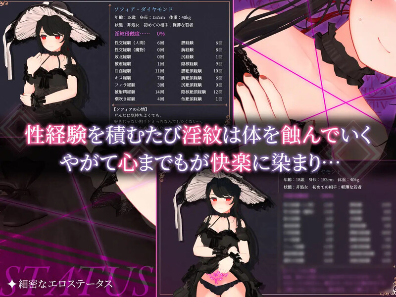 图片[1]-[日式RPG/3D/异种X] 索菲娅与巴比伦的淫纹～孤高天才魔导士的堕落～ ソフィアとバビロンの淫紋~孤高なる天才魔導士の堕落~ AI汉化版+全回想存档 [1.50G]-爱玩ACG