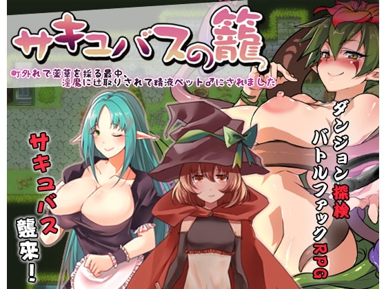 [日式RPG/官中] 魅魔的囚笼 サキュバスの籠 –  町外れで薬草を採る最中、淫魔に辻取りされて精液ペット♂にされました v1.02 官中版+存档 [430M]-爱玩ACG