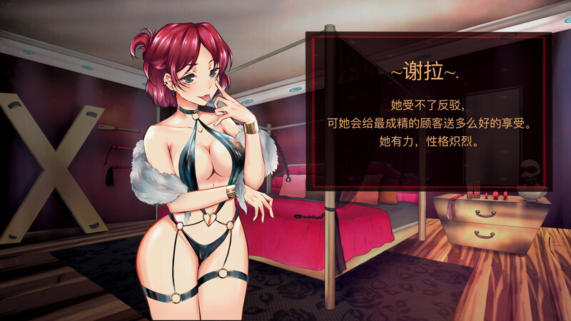 [日式SLG/官中] 天堂喜悦 Paradise Delight V2.0 STEAM官中步兵版+全DLC [800M]-爱玩ACG