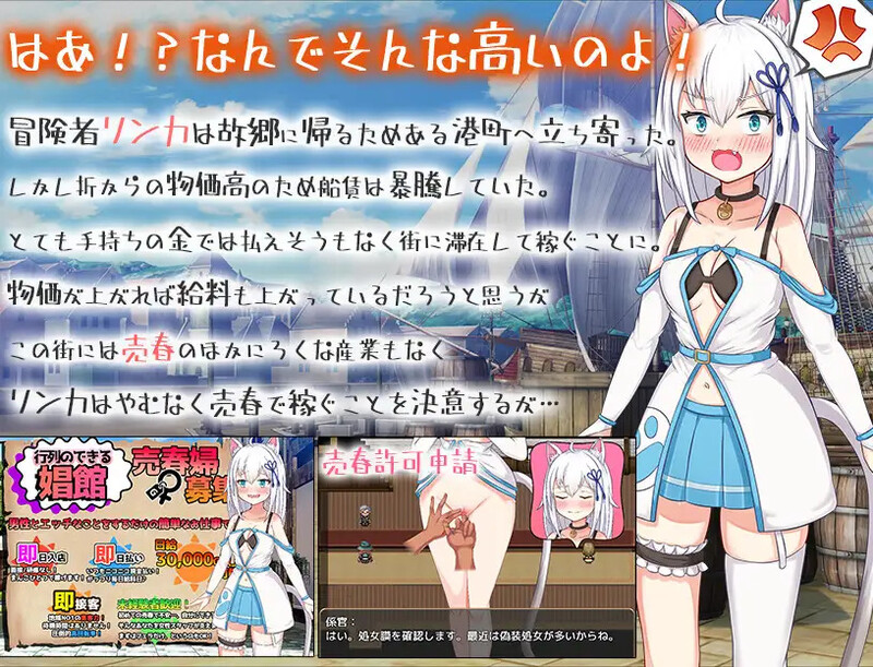 [日式SLG/汉化] 赚钱吧!猫耳娘～异世界卖春SLG～ 稼げ猫耳娘 ～異世界売春SLG～ AI汉化版+全CG存档 [2.40G]-爱玩ACG