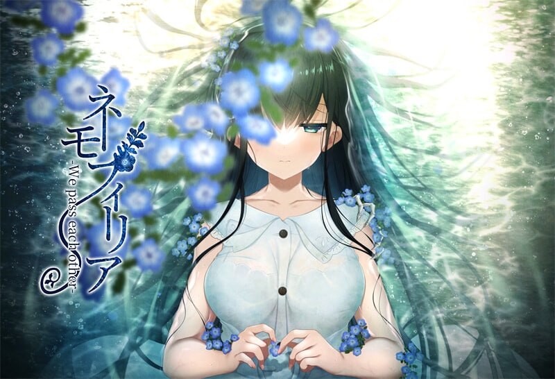 新作[日式ADV] 喜林草 -我们擦肩而过- ネモフィリア -We pass each other- v1.30 AI汉化版+全CG存档 [1.50G]-爱玩ACG