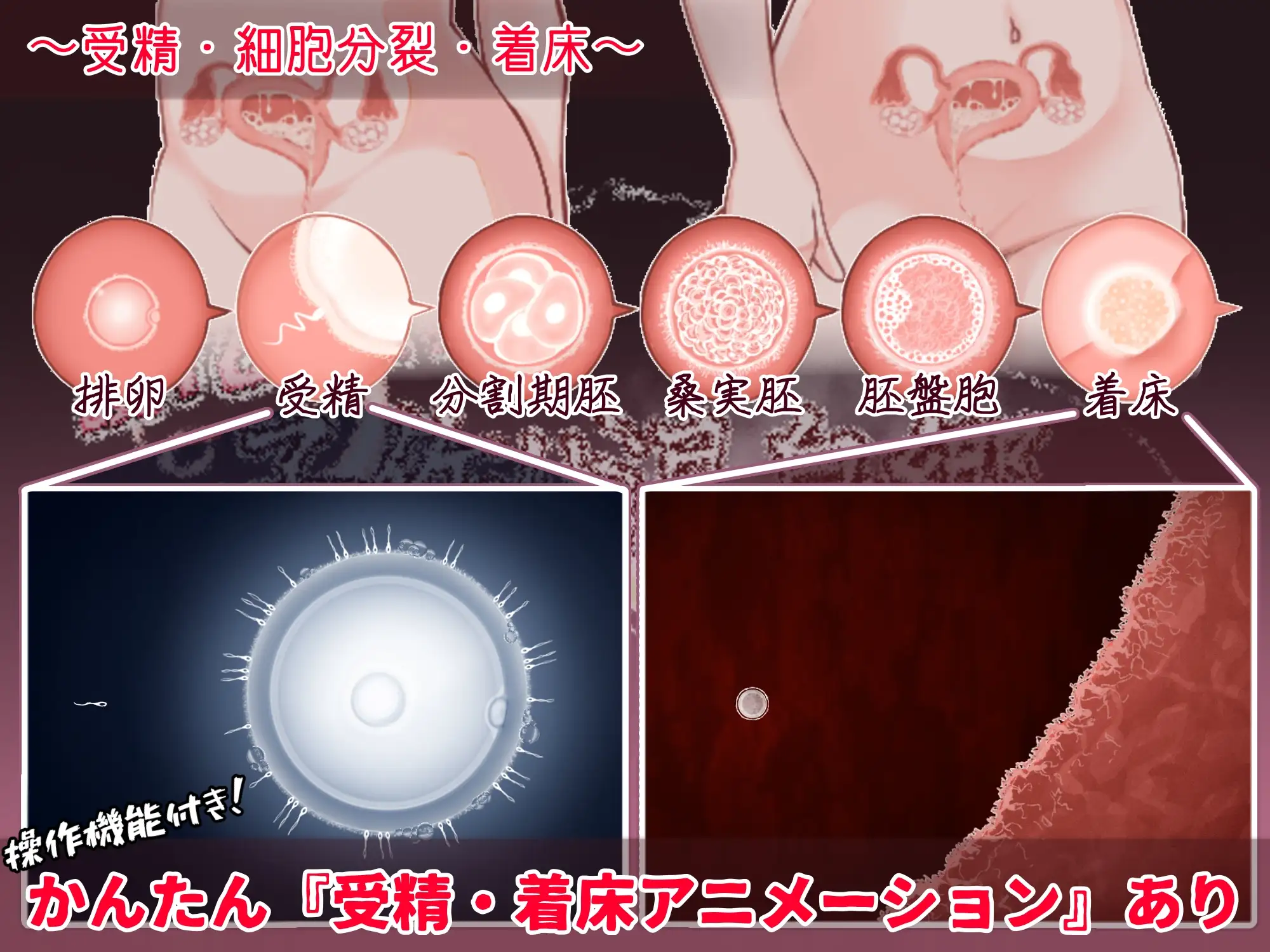 图片[4]-更新[日式RPG/西瓜肚/动态] 欢迎来到！孕育温泉乡 おいでませ！子作り温泉郷 V1.10 内嵌AI汉化版+作弊码 [PC+安卓 970M]-爱玩ACG