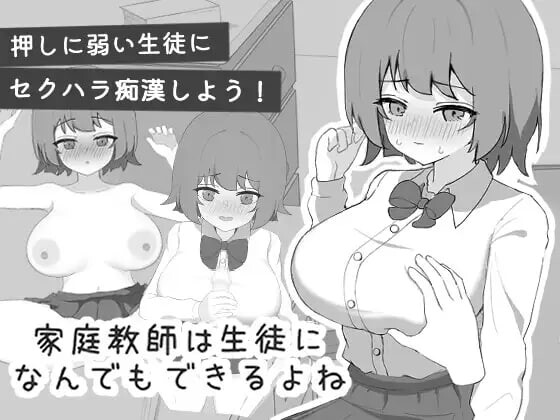 新作[互动SLG/抚摸触摸/动态] 家庭教师对学生什么都能做吧 家庭教師は生徒になんでもできるよね 生肉版 [110M/多空转百度]-爱玩ACG